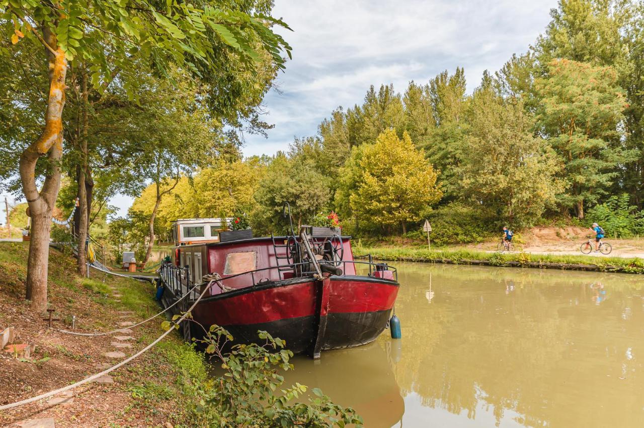 Peniche Dondon - Gite Cocooning Sur Canal Du Midi Avignonet-de-Lauragais 外观 照片