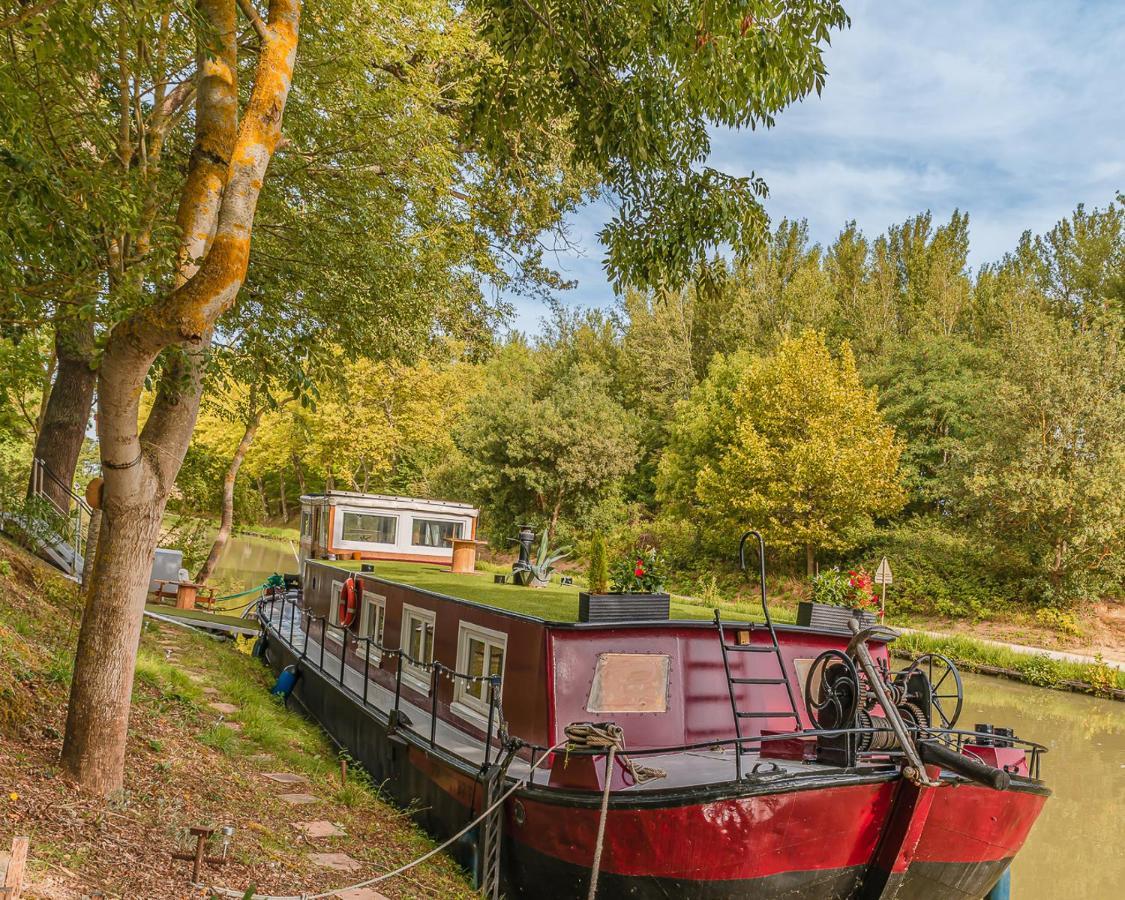 Peniche Dondon - Gite Cocooning Sur Canal Du Midi Avignonet-de-Lauragais 外观 照片